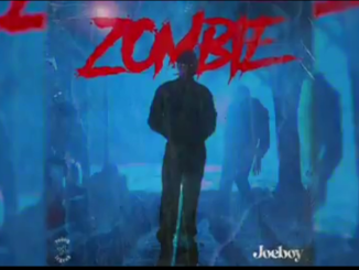 Joeboy – Zombie Mp3 Download