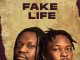 Umu Obiligbo – Fake Life