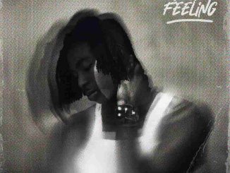 FOLA – What A Feeling EP